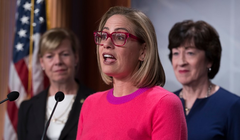 Kyrsten Sinema Roasts Her Democrat Colleagues in Unearthed Remarks That Could Cause Serious Problems