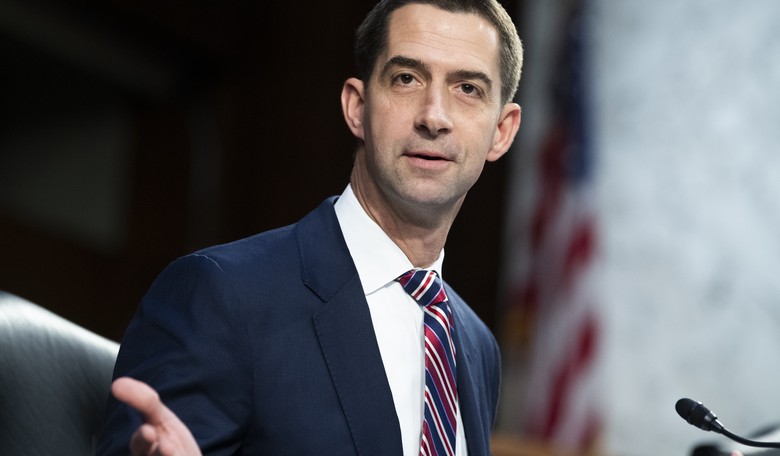 Tom Cotton Swoops in With Zinger After Chuck Schumer FUBARs SCOTUS Speech on Senate Floor