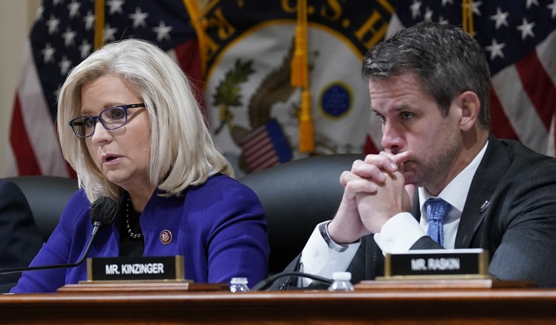 Adam Kinzinger Gives Incredibly Bizarre Suggestion to Ray Epps