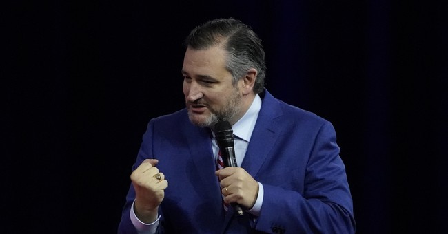 Cruz Warns Americans Are One SCOTUS Vote Away from 'Losing Our Fundamental Rights'
