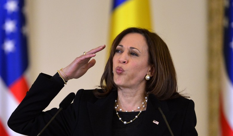 Kamala Harris Gives a Mind-Numbing Lesson on 'Assault Weapons' and 'Venn Diagrams'