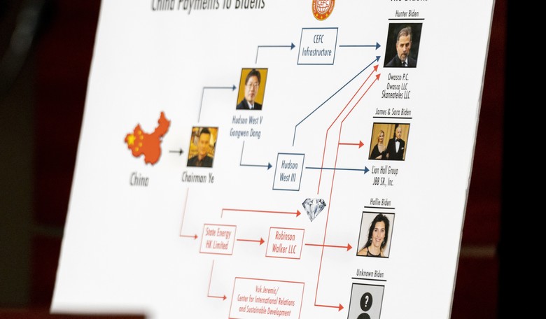 Anyone Screaming About Santos and Ignoring the Biden Family's Crimes Shouldn't Be Allowed to Procreate