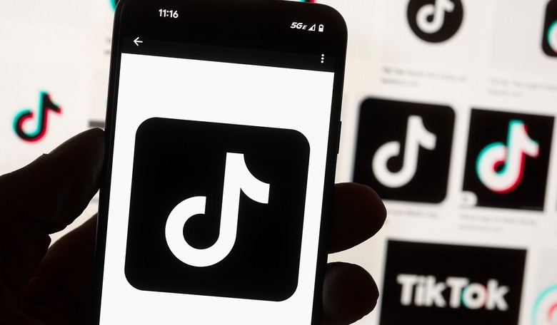 State Government Websites May Have Embedded TikTok Trackers