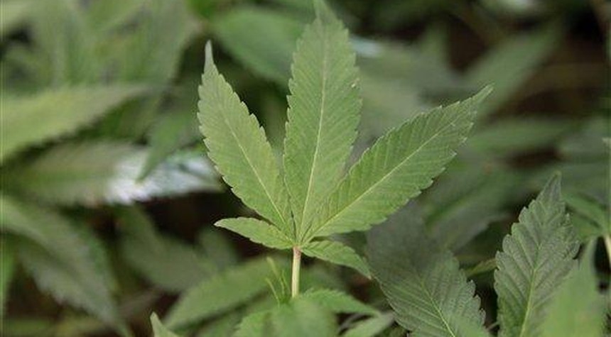 Arkansas seeks to protect gun rights for medical pot users