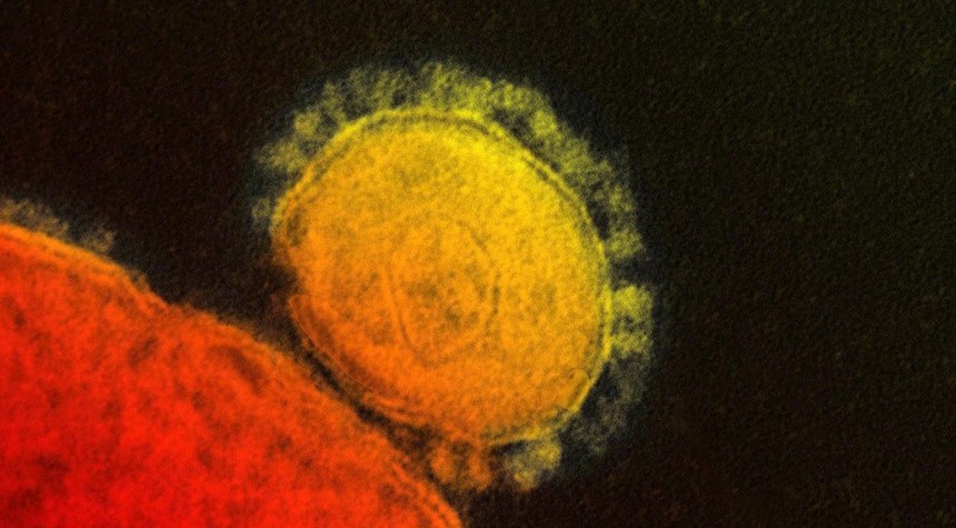 The Coronavirus Has Brought the U.S. Economy to a Screeching Halt; This Can't Be Lost on Our Enemies
