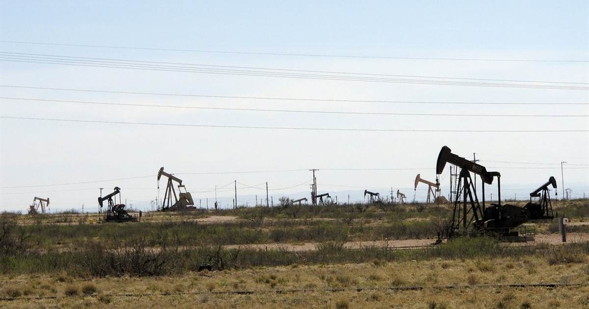 Biden killing whales and raptors for wind, now using a lizard to shut down oil - Vimarsana News