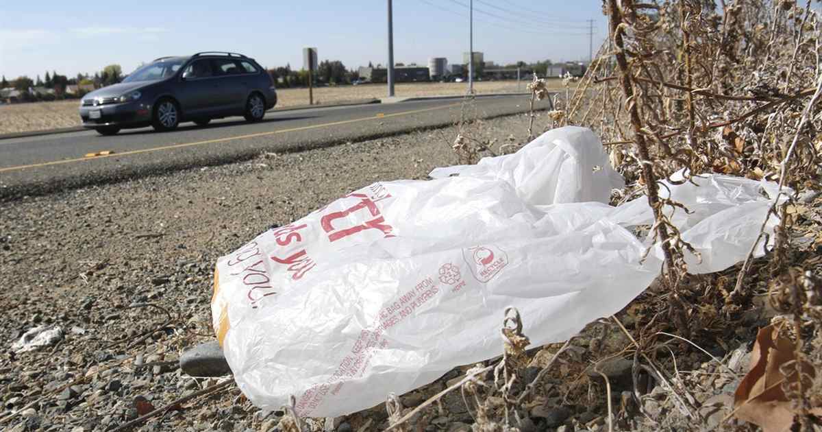 They Banned Plastic Bags and Increased Plastic Usage by 300% - Vimarsana News