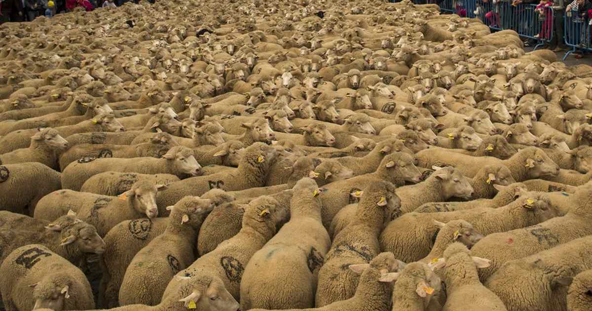 How Many Lies Will These Leftist Idiots Swallow? – PJ Media - Vimarsana News