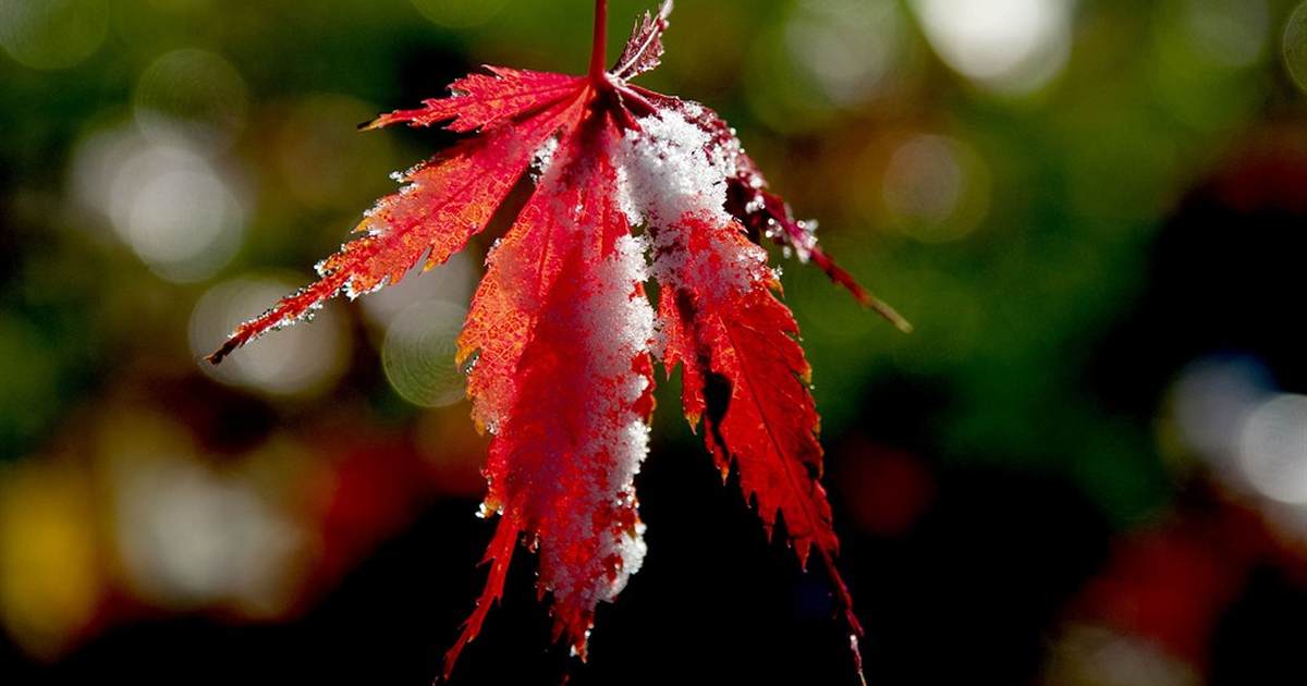 What You Did Not Hear About the Japanese Earthquake: Nuclear Bad News - Vimarsana News