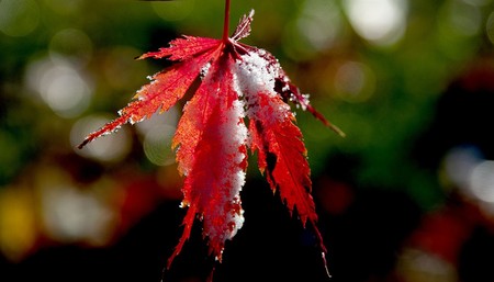 What You Did Not Hear About the Japanese Earthquake: Nuclear Bad News