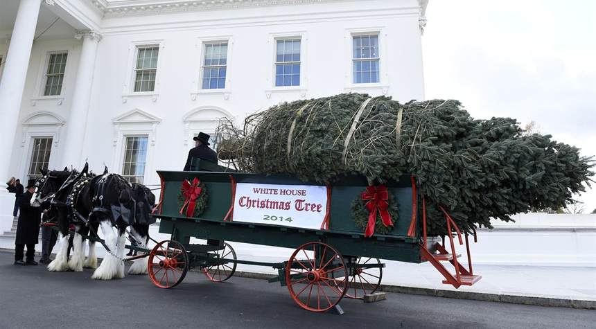 The Press Takes a Decidedly Different Stance Towards the Bidens’ White House Christmas