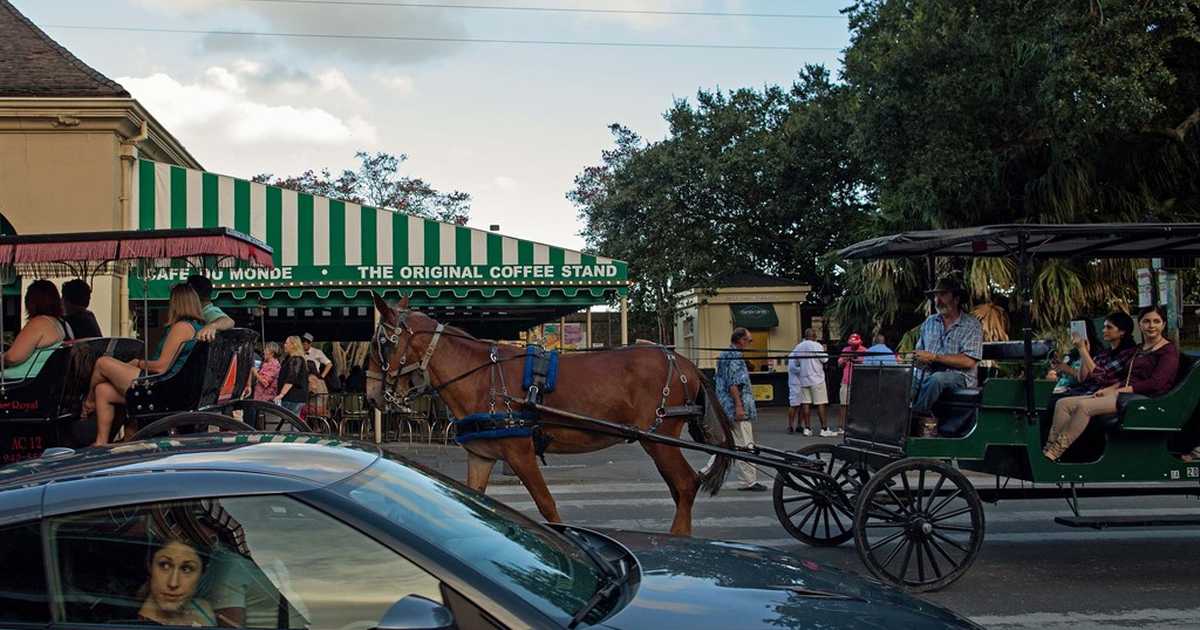 Trump ordered at Café du Monde's take-out window, left a $100 tip for the staff - Vimarsana News