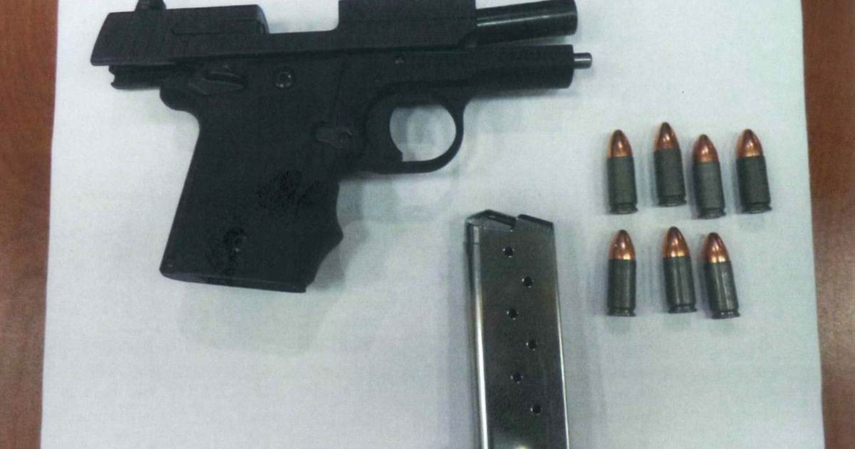 UPDATE: Atlanta Airport 'Accidental Gun Discharge' Caused by a Convicted Felon, Now on the Lam - Vimarsana News