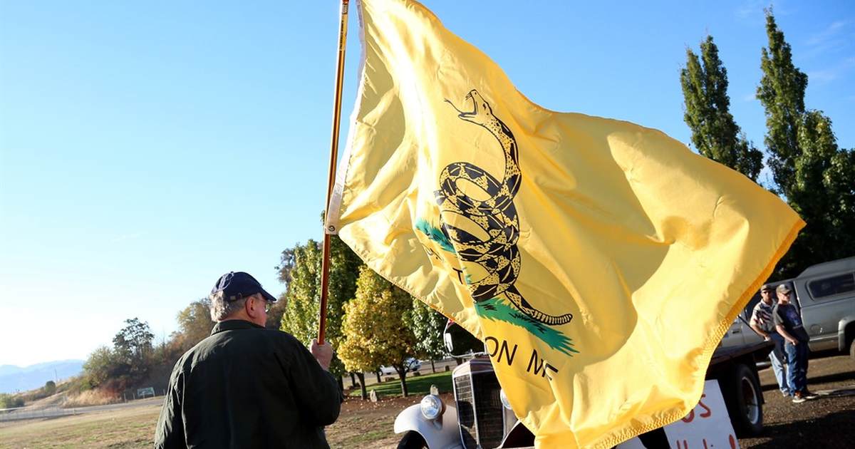 Leftwing Activist Journalists Claim the Gadsden Flag Is a Sign of Insurrection and Hate - Vimarsana News