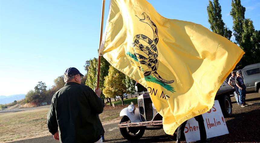 Leftwing Activist Journalists Claim the Gadsden Flag Is a Sign of Insurrection and Hate