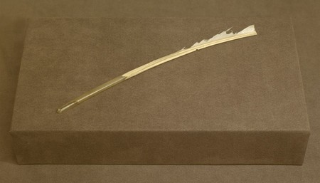 ChatGPT Pens an Ode to Biden