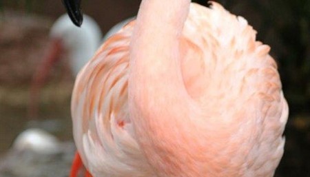 Movin' on Out: U-Haul Top US Growth Cities for 2023