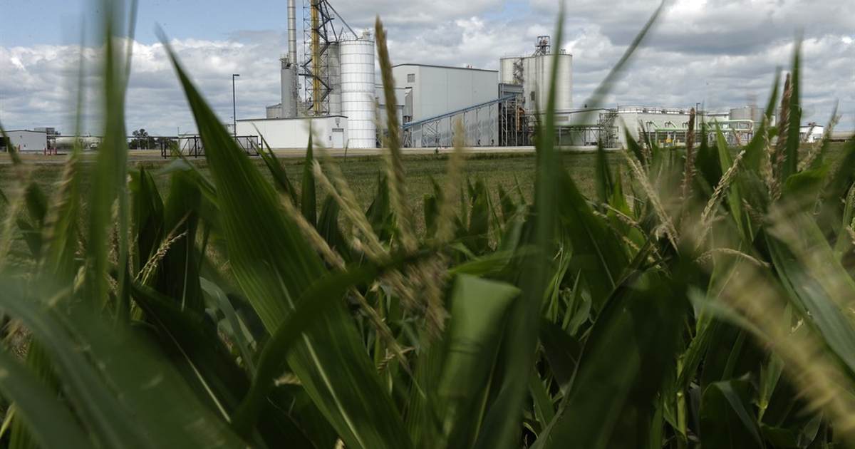 Is the end nigh? NYT goes after ethanol - Vimarsana News