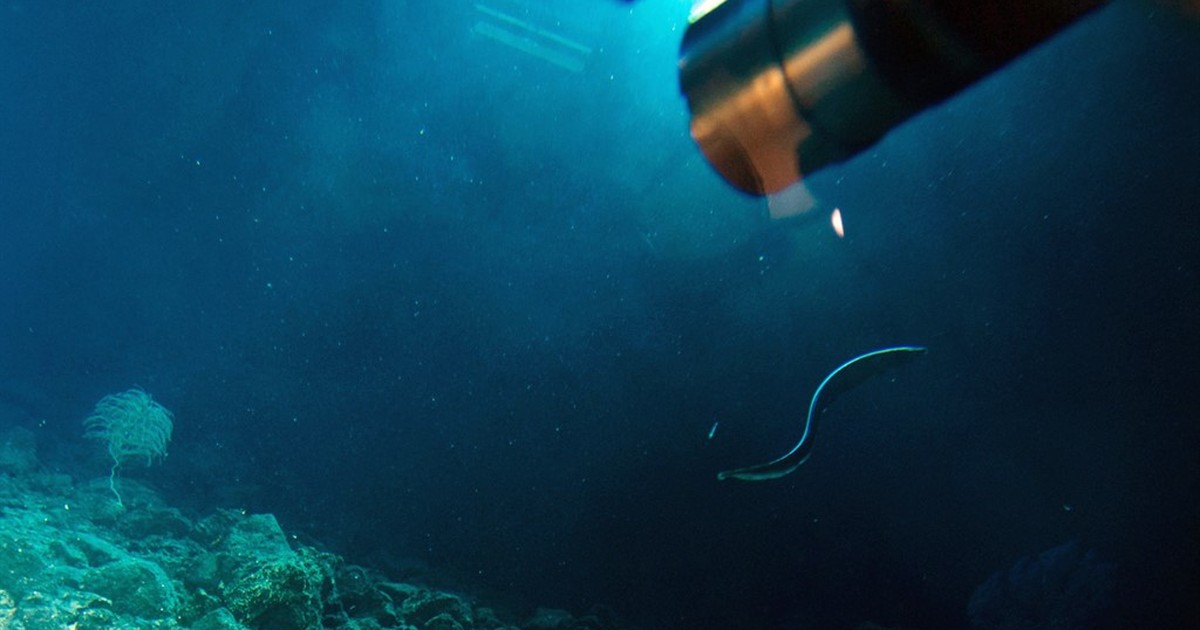 Russia Sending a Submarine Salvage Ship to the Wreck of the Moskva Makes You Wonder What They Misplaced - Vimarsana News