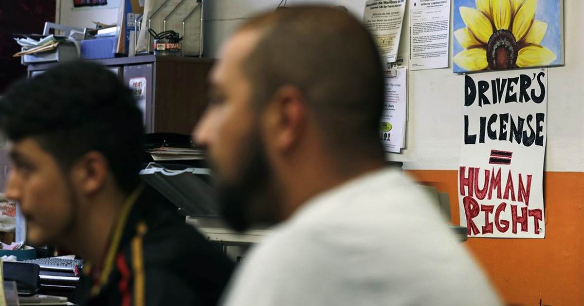 Minnesota will once again give driver's licenses to illegals - Vimarsana News