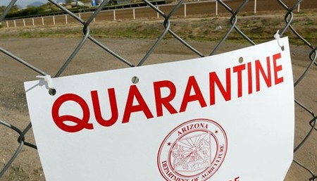 The Return of Forced Quarantine Orders