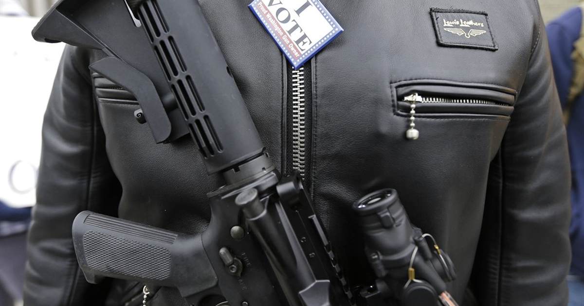 Michigan gun owners rally outside capitol: "the Second Amendment is still vital" - Vimarsana News