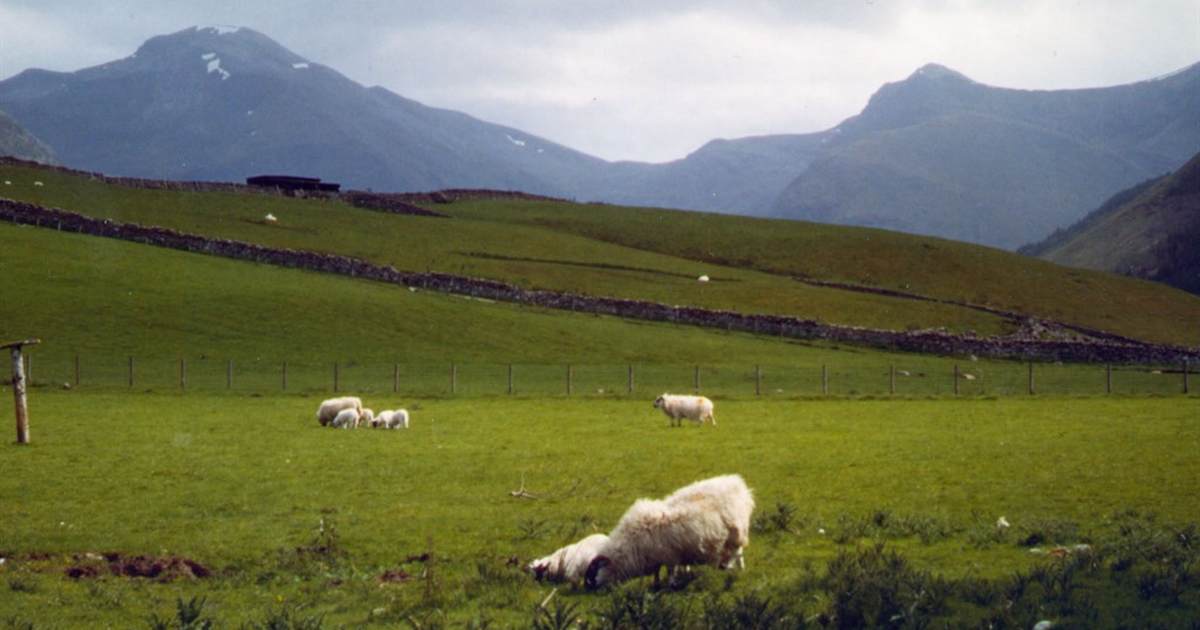 Rats: Scotland's "Nationalist Party" has wee country pretty much where you'd expect - Vimarsana News