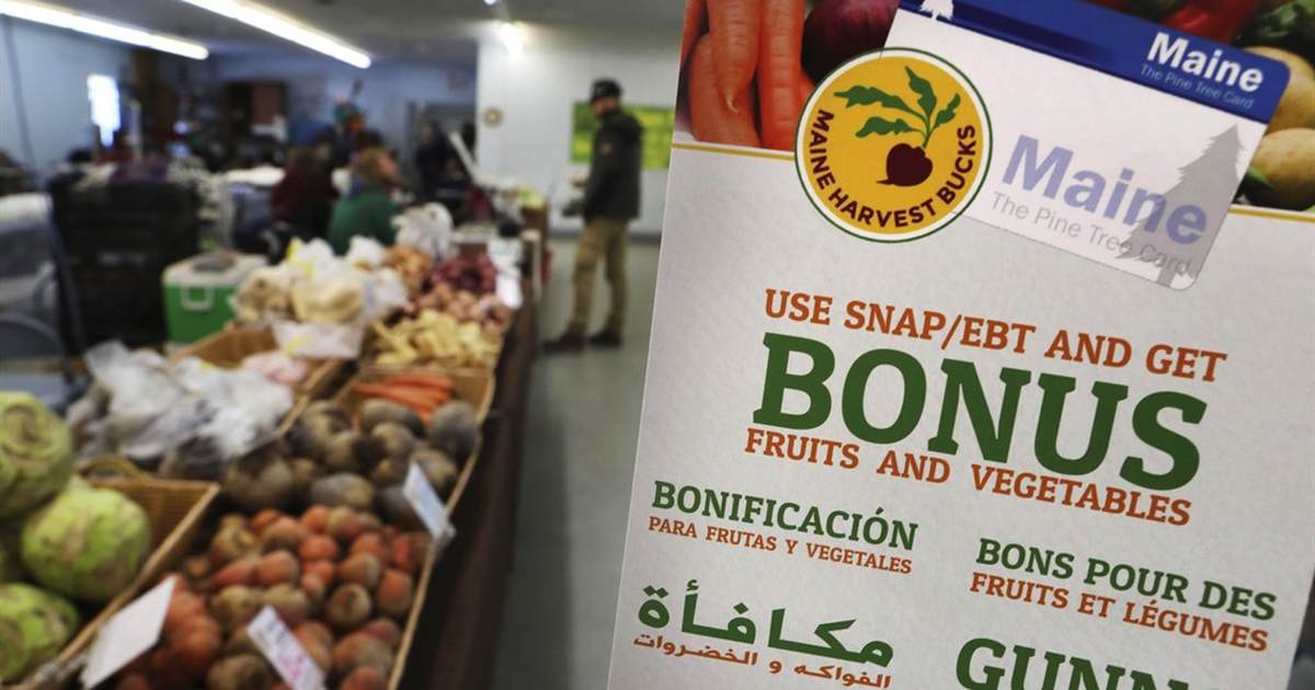 Democrats Fear GOP Proposal Forcing SNAP Recipients to Work Will Cut Number of Those Dependent on Government - Vimarsana News