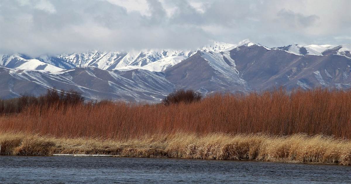 Let's Talk: Idaho House of Representatives Passes a Resolution to Start Talks About "Greater Idaho" - Vimarsana News