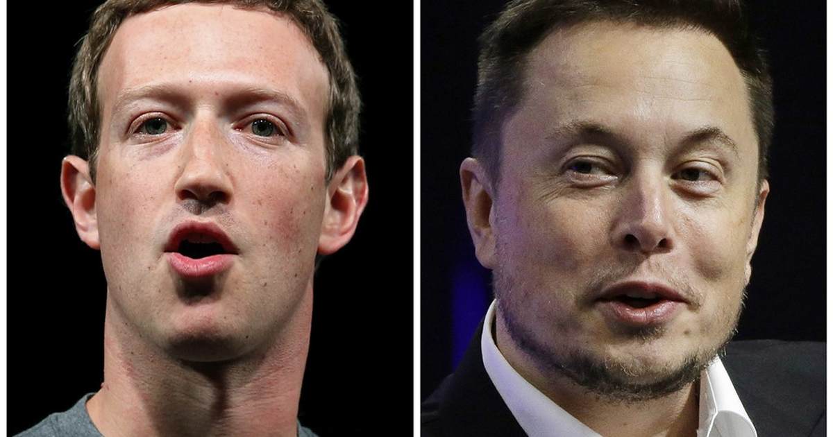 Elon Drops Details About Training, Fight With Zuckerberg Including Where It Will Be Live Streamed - Vimarsana News