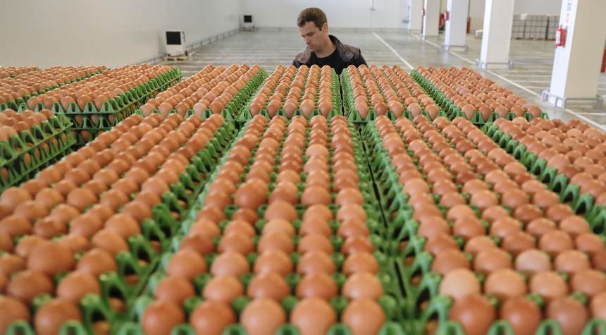 Farm group calls for investigation into high egg prices