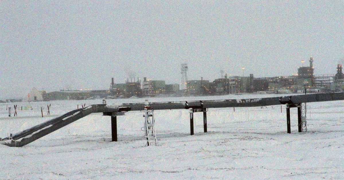 Dems Are Livid at Biden for Approving Alaska Oil Drilling Project - Vimarsana News