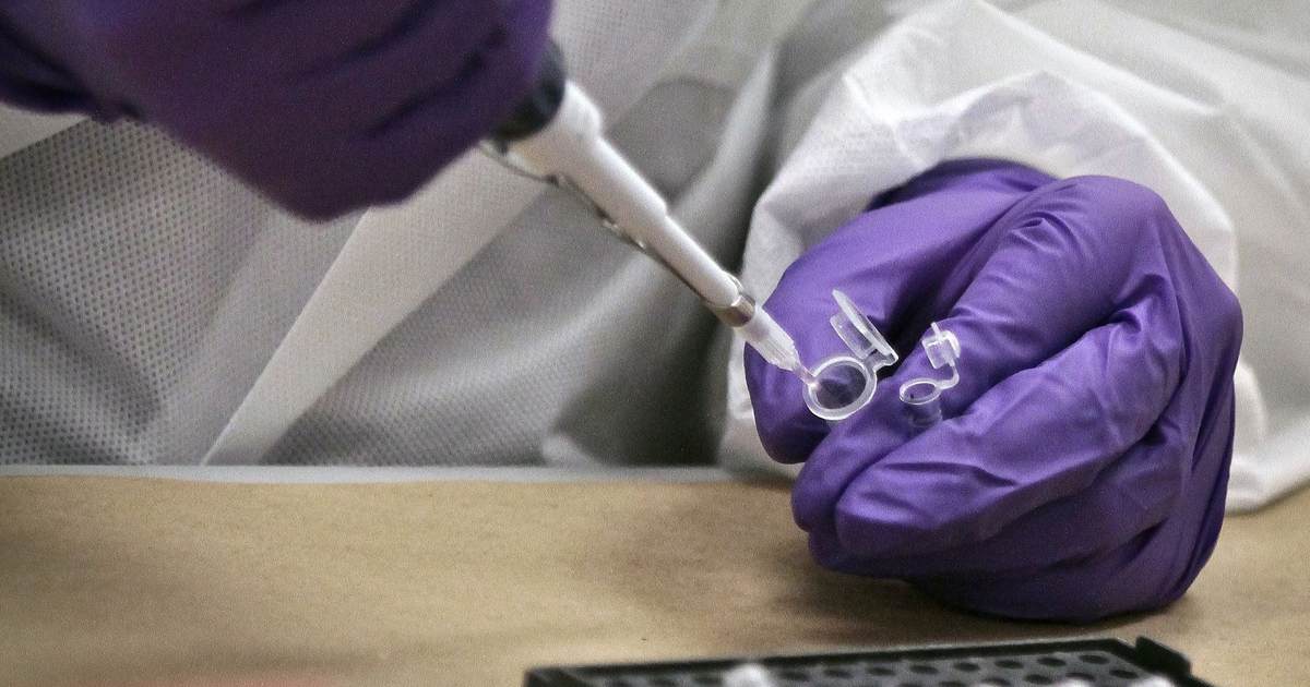 The San Francisco rape victim DNA database debacle - Vimarsana News