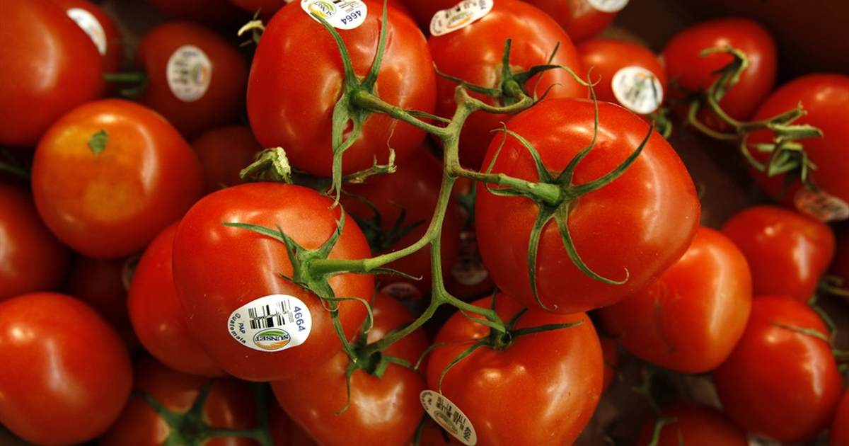 Yes, we have no tomatoes - Vimarsana News