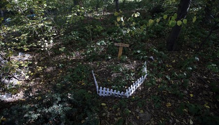 Family of Dexter Wade Receives Apology