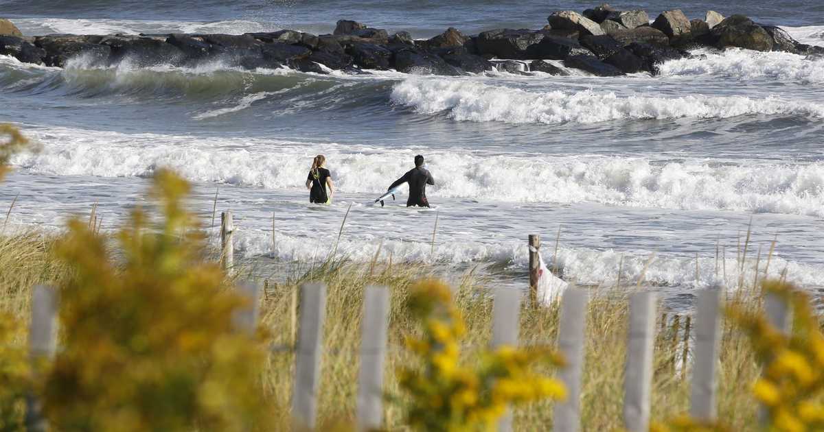 New York State still on power trip to nowhere near enough power - Vimarsana News