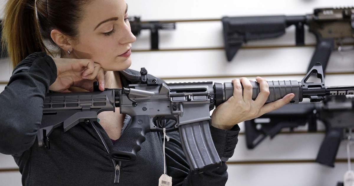 The AR-15 Is Like the Pit Bull of the Gun World, and the Left Loves to Alternately Lionize and Demonize It - Vimarsana News