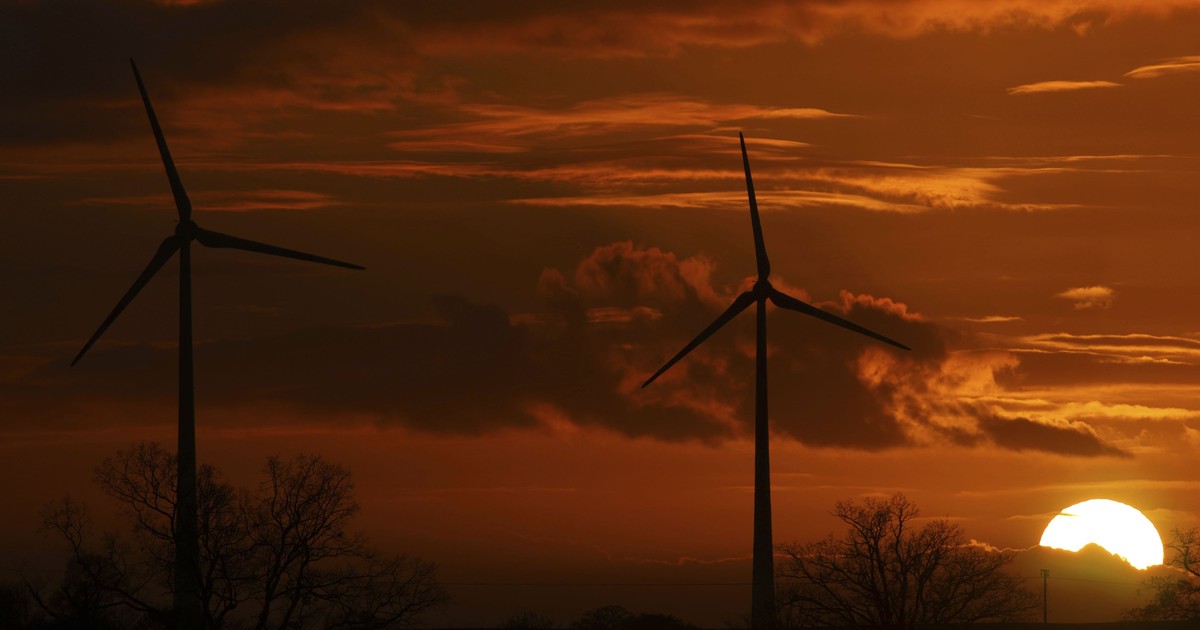 Holy Environy: Scotland Cuts Down Forest to Make Room for Windmills - Vimarsana News