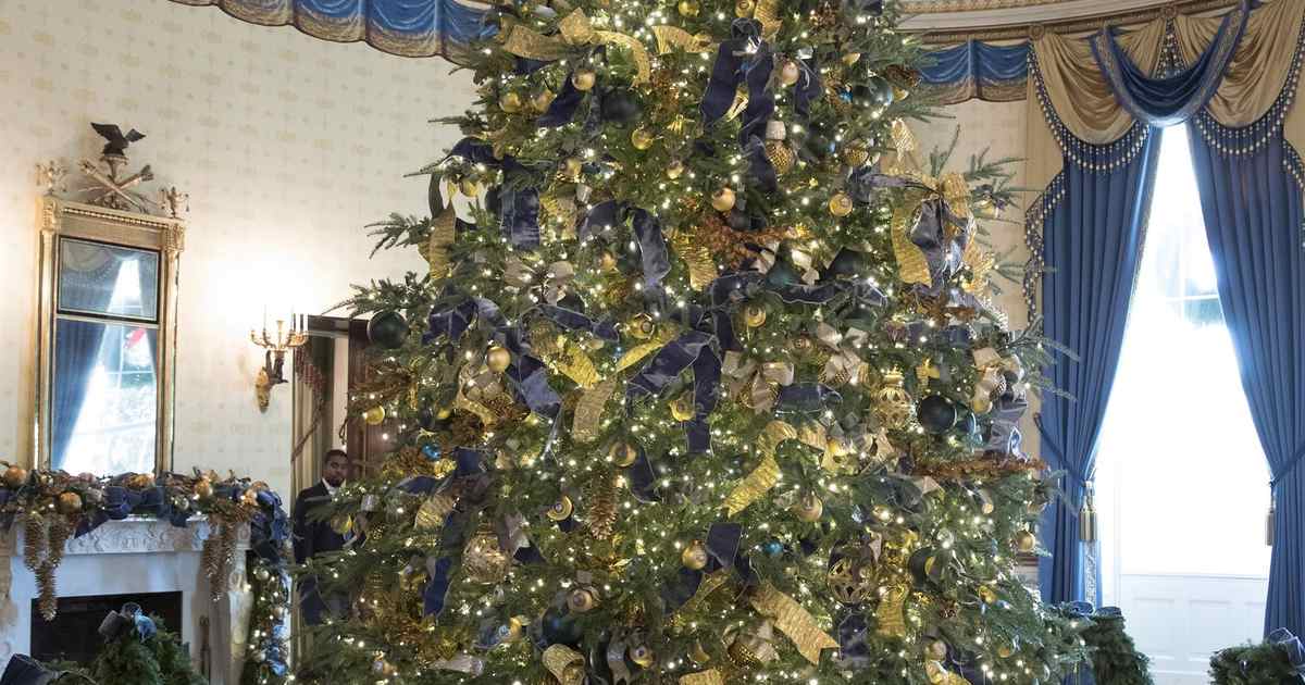 Bidens Ditch Christmas Stockings for Grandkids - Vimarsana News