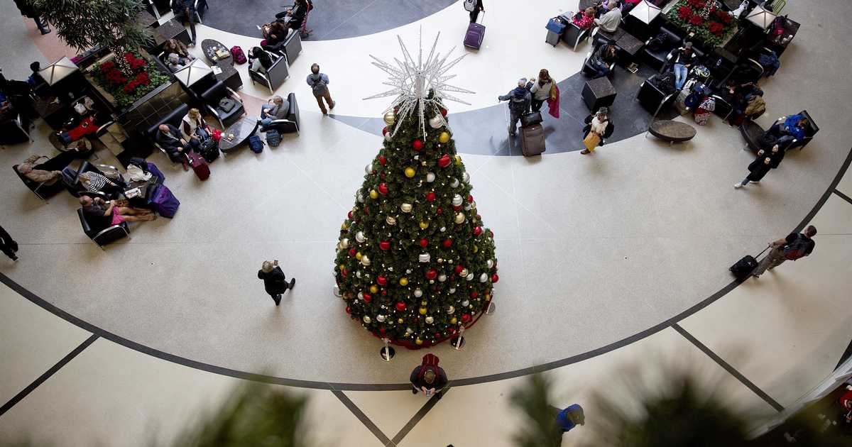 Woke Massachusetts Official Tells on Herself in Bizarre Public Dispute Over Christmas Tree Display - Vimarsana News