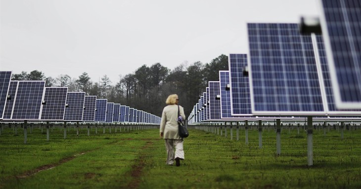 Solar panels line farmland that former President Jimmy Carter owns in his hometown of Plains, Ga., as a reporter walks through before a ribbon cutting ceremony Wednesday, Feb. 8, 2017.