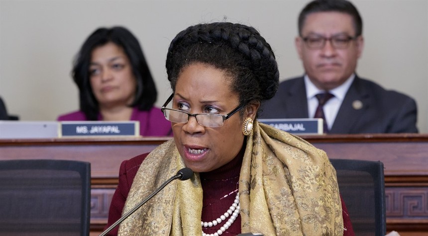 Sheila Jackson Lee's Comment About the Border Is Detached From Reality