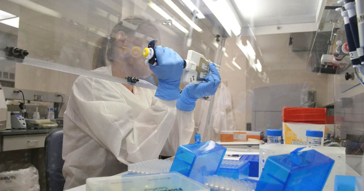 'Woke' Feds Make Race, Gender Speech Codes 'Top Priority' for Government Scientists - Vimarsana News