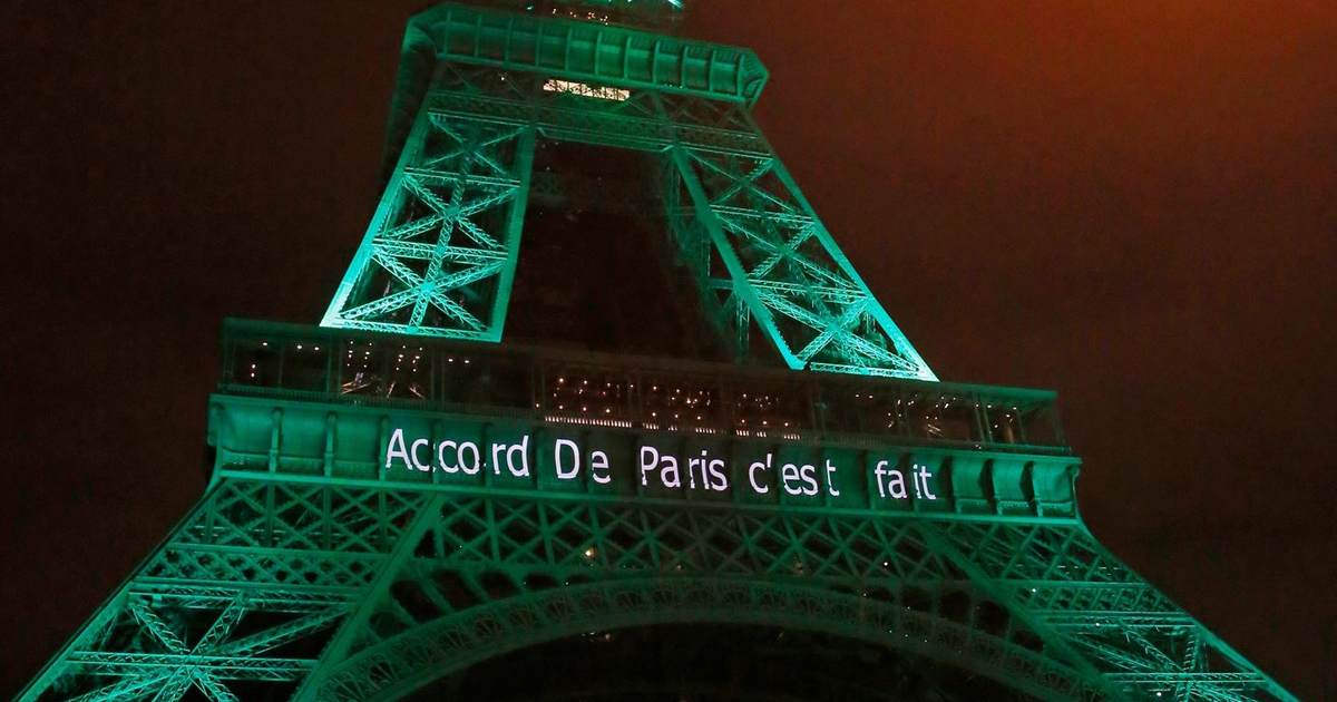 Europe's green deception: Forests destroyed for Paris Accord compliance - Vimarsana News