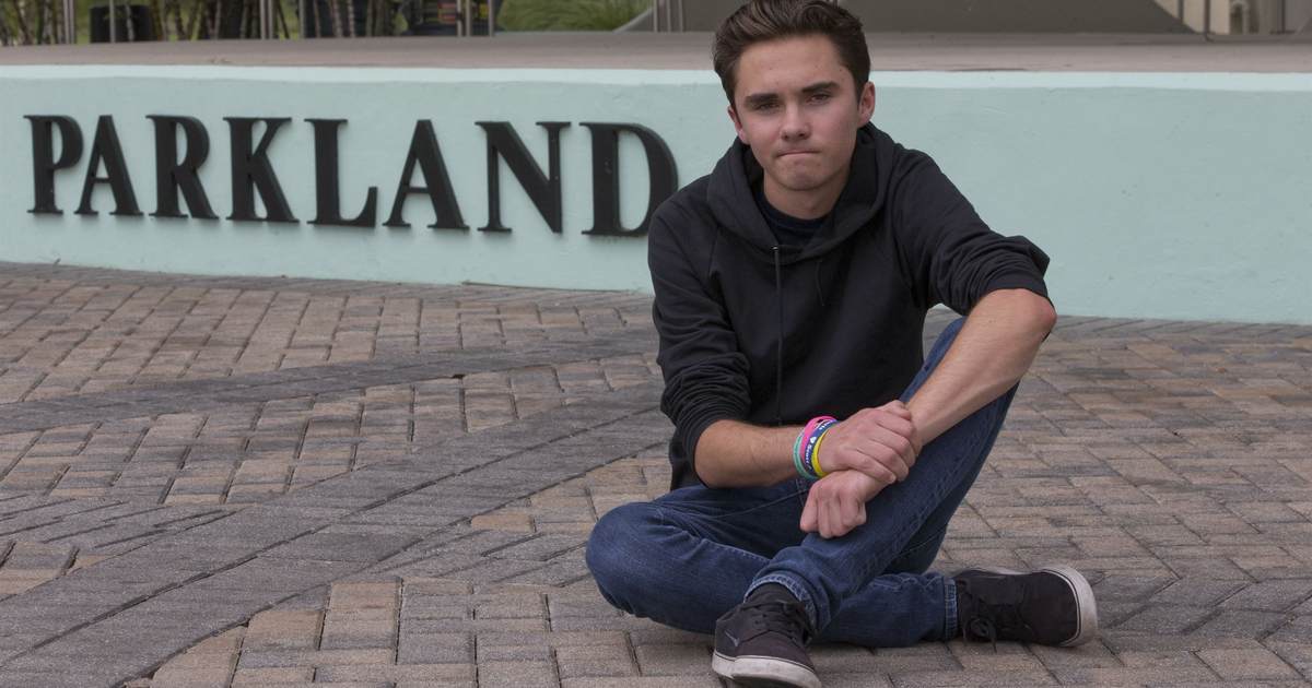 David Hogg's Pillow Company Is Proceeding Nicely - Vimarsana News