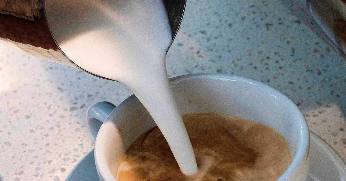 College Student Writes a Paper About the Racism of Creamer Colonizing Coffee, His Teacher Loves It - Vimarsana News