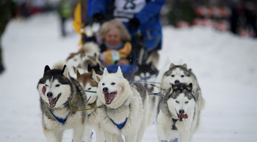 Alaska’s Iditarod Dog Sled Race Features Smallest Field Ever Thanks to Inflation
