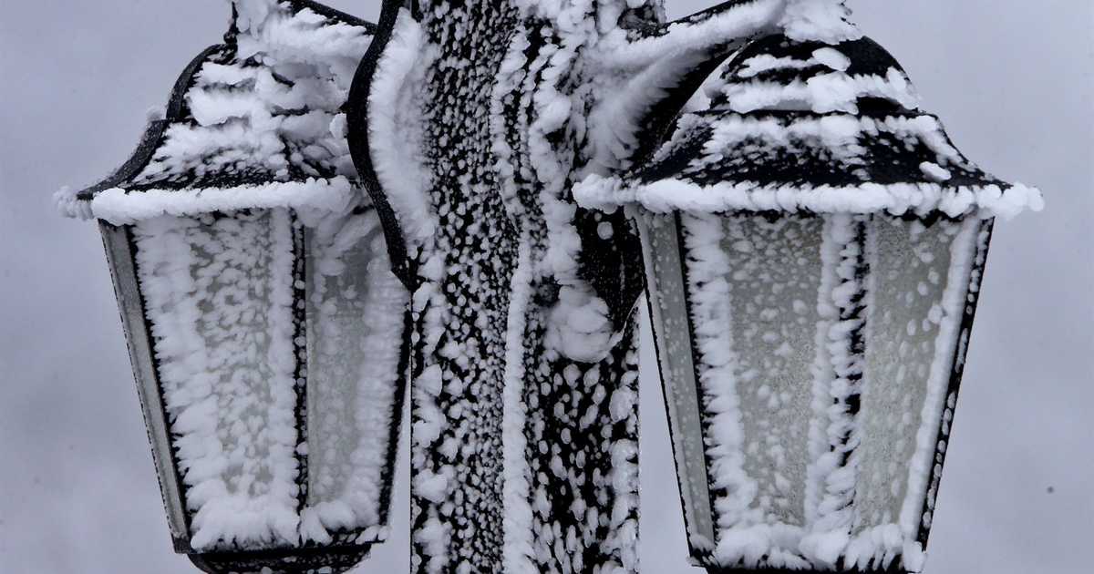EU bans imports of products linked to deforestation, freezing Europeans cut down forests to survive - Vimarsana News