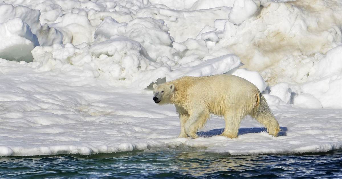 UN says climate change killed 2 million people in fifty years - Vimarsana News