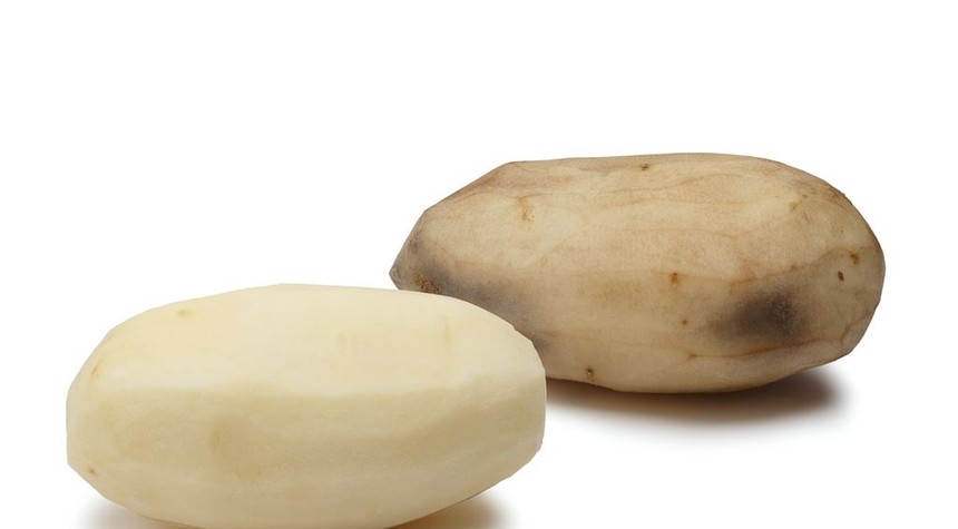 Misplaced Potatoes, Good Sports, and Bad Board Games: Are We Doomed?